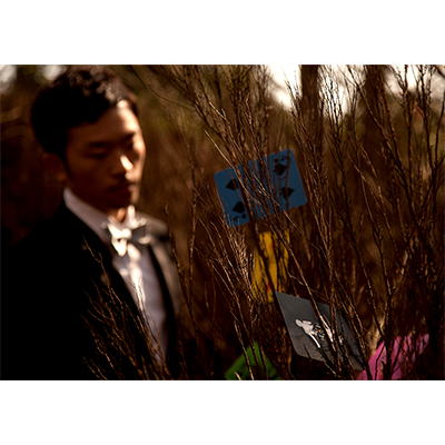 A's Manipulation Deck, Color by Lee Ang Hsuan - Image 2