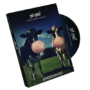 Got Gum?, Appearing by Brandon David & Chris Turchi appearinggotgum-full.png