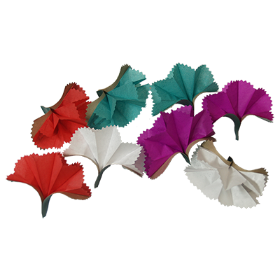 Bare Hand Spring Flower, 16 by Premium Magic - Image 2