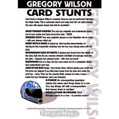 Card Stunts by Gregory Wilson - Image 2