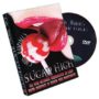 dvdsugarhigh-full.jpg
