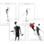 dvmastercoursesponge_set-full.png