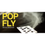 dvpopfly-full.png