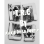 dvtrc-full.png