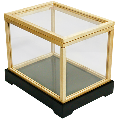 Illusion money box, With monitary notes