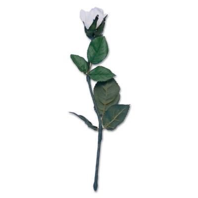Instant Rose Creation by Visual Magic