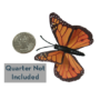 magicbutterfly-full.png