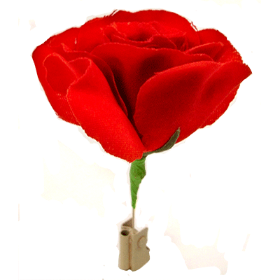 Match to Rose
