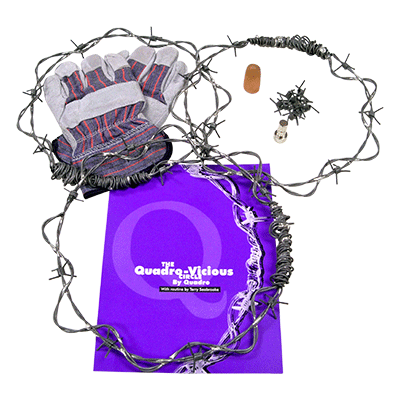 Quadro Vicious Circle Linking Rings by Murphy's Magic Supplies - Image 2