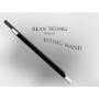 risingwand-full.png
