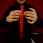 shiniv_full.png