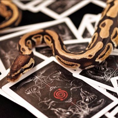 Venom Deck by US Playing Cards - Image 2