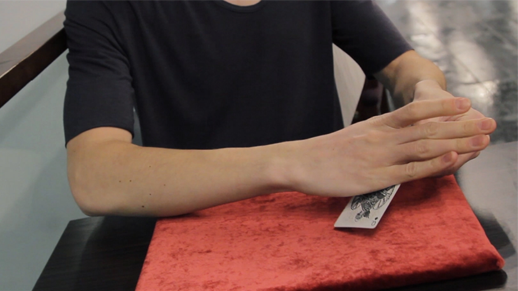 Second Form By Nick Vlow and Sergey Koller Produced by Shin Lim - Image 6