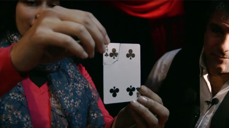 Torn Card Evolution, TCE by Juan Pablo - Image 3