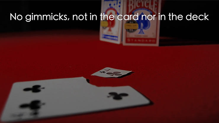 Torn Card Evolution, TCE by Juan Pablo - Image 6