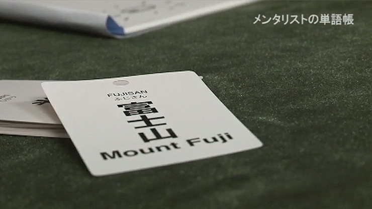 Mentalist's Vocabulary Flash Cards by Tenyo Magic - Image 6