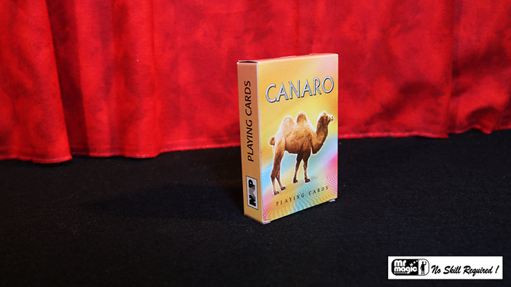 Card Castle with Six Card Repeat by Mr. Magic - Image 2