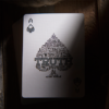 Truth Playing Cards, I Never Believe Me - Image 5