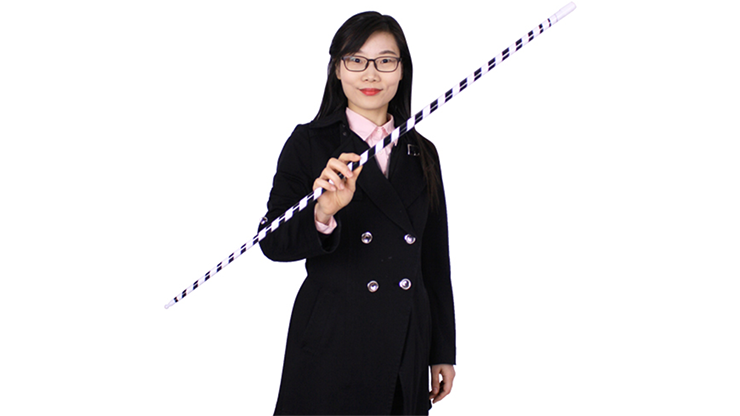 Appearing Cane, Plastic, BLACK & WHITE STRIPED by JL Magic