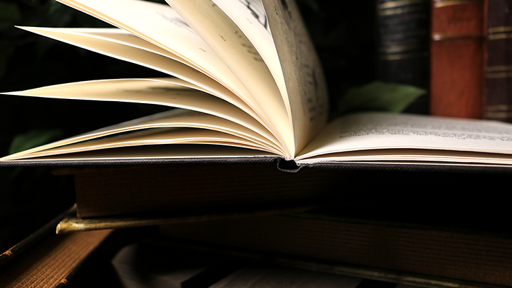 Making a Shadowgraph Show, Limited/Out of Print by Eric Hawkesworth - Image 3