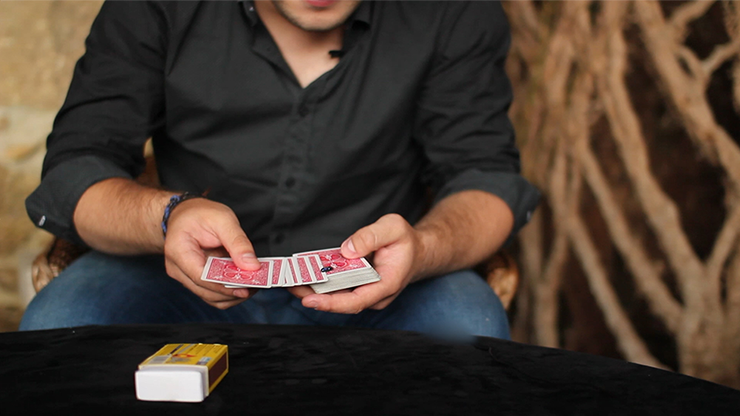 The FLY by Marcos Waldemar - Image 2