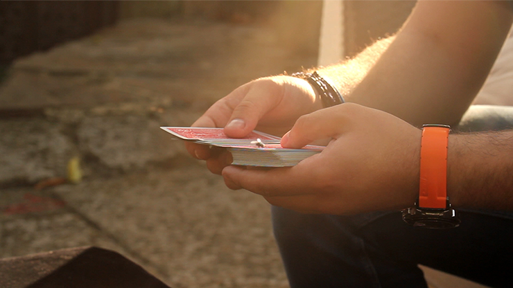 The FLY by Marcos Waldemar - Image 4