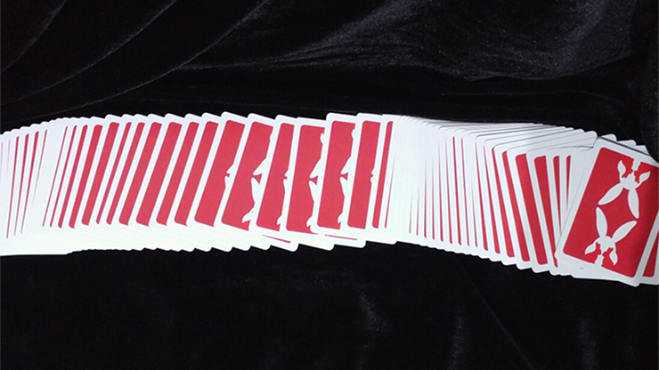 Bicycle Rabbit Playing Cards - Image 4