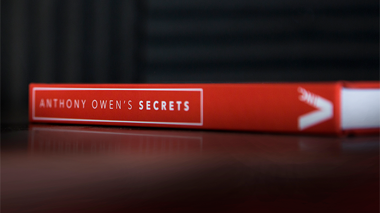 Secrets by Anthony Owen - Image 3