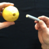 CITRUS: The Next Generation, C2 - Small by Nourdine - Image 2