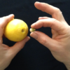 CITRUS: The Next Generation, C2 - Small by Nourdine - Image 4