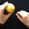 CITRUS: The Next Generation, C2 - Small by Nourdine - Image 5