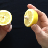 CITRUS: The Next Generation, C2 - Small by Nourdine - Image 6