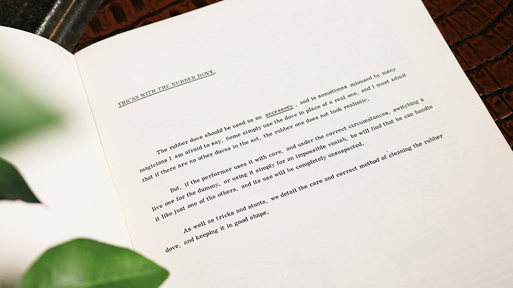 Tricks & Stunts with a Rubber Dove by Ian Adair - Image 2