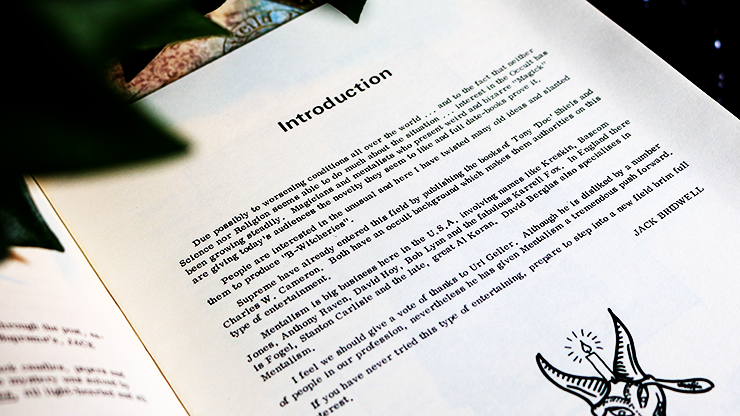 B-Witcheries by Jack Bridwell - Image 2