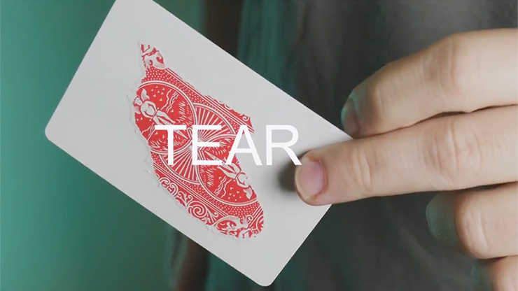 Split Cards 15 ct., Red by PCTC - Image 2