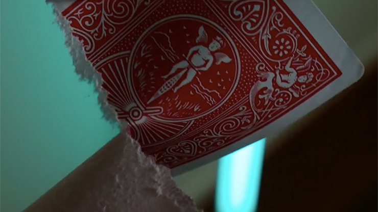 Split Cards 15 ct., face by PCTC - Image 5