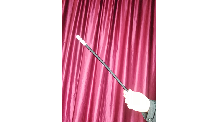 Wilting Magic Wand by Strixmagic - Image 5