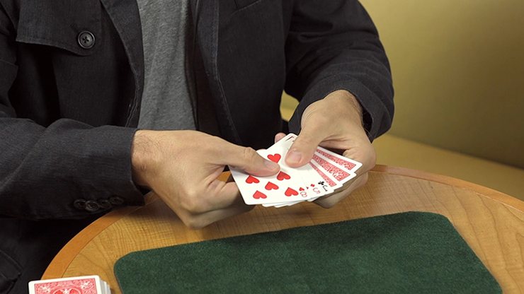 MIXED PERCEPTION by Cameron Francis - Image 2