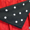 Polka Dot Silk, 18 inch x 18 inch by Mr. Magic - Image 2