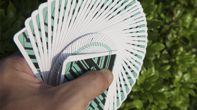 DI Playing Cards by Di.cardistry - Image 3