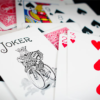 Bicycle Rider Back Playing Cards in Mixed Case Red/Blue by USPCC - Image 6
