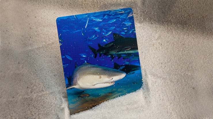 Bicycle Sharks Playing Cards by US Card Magic - Image 3