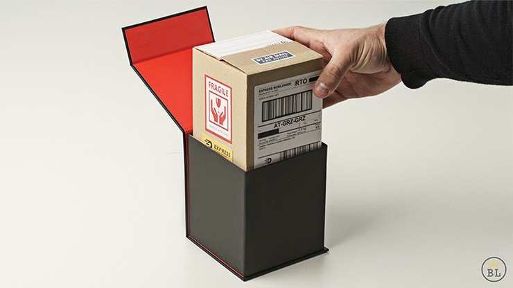 TIMELESS Classic, Gimmicks and Online Instructions by Joao Miranda - Image 4