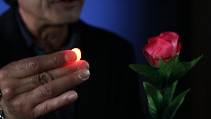 Rocco's Prisma Lites SOUND Single, High Voltage/Red - Image 5