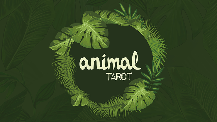 Animal Tarot, Gimmicks and Online Instructions by The Other Brothers