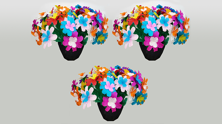 3 FLOWER POTS FROM FRAME by Tora Magic