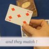 Houdini's Diary, Gimmick and Online Instructions by Wayne Dobson and Alan Wong - Image 5