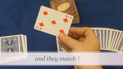 Houdini's Diary, Gimmick and Online Instructions by Wayne Dobson and Alan Wong - Image 5