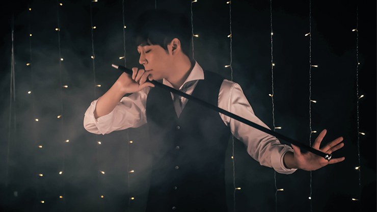 Artist Remaster, 2 DVDs by Lukas - Image 5