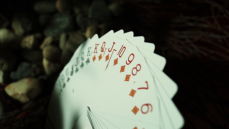 Limited Edition Bicycle National Parks, Great Smoky Mountains Playing Cards - Image 3